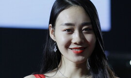 车模系列 60210 没见车