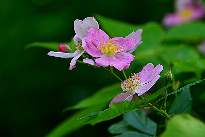 照片 102_副本.jpg