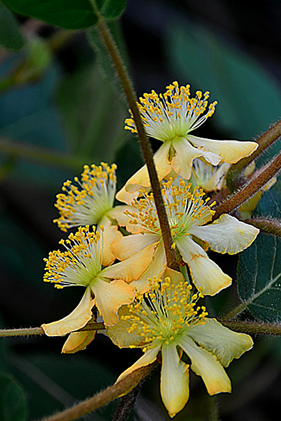 照片 111_副本.jpg