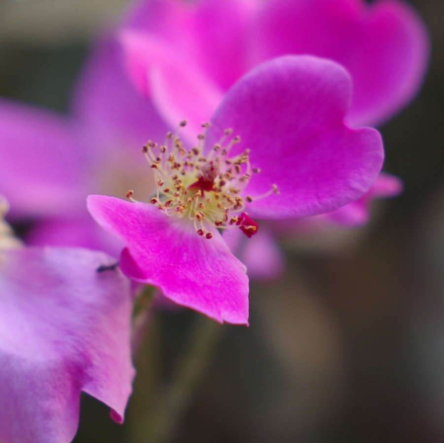 照片 124副本.jpg