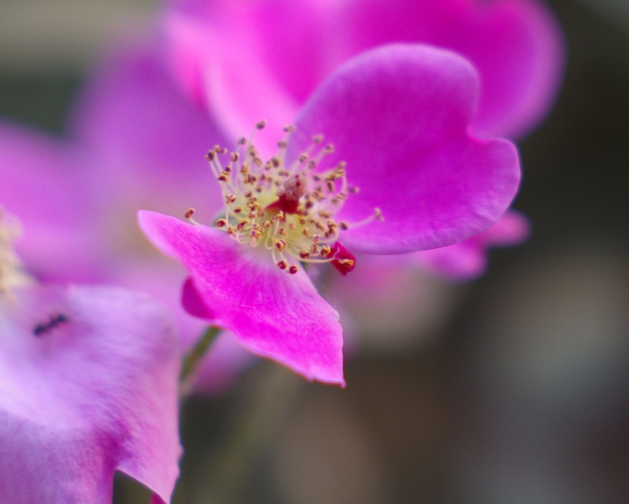 照片 125副本.jpg