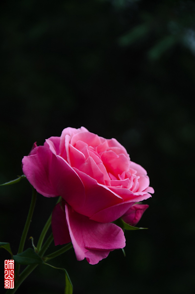 DSC_1759.jpg