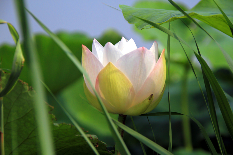 公园 051_副本.jpg