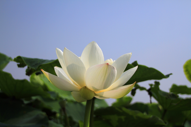 公园 042_副本1.jpg