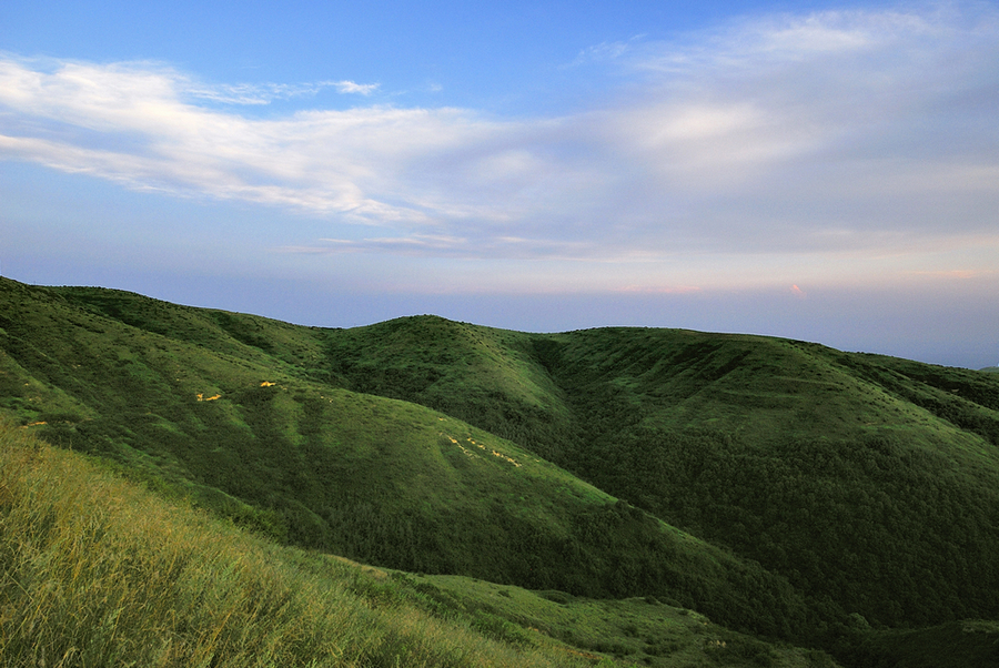 _DSC0048.jpg