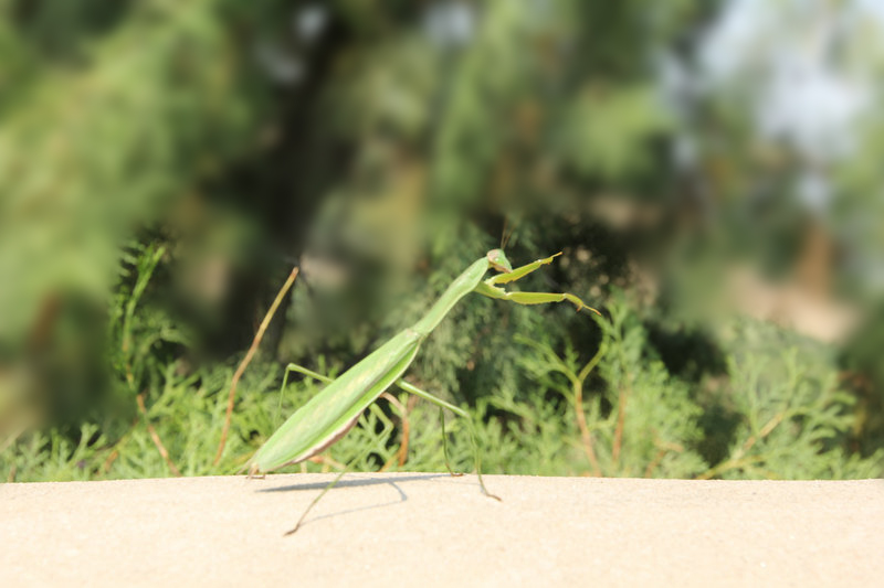 照片 294_副本11.jpg