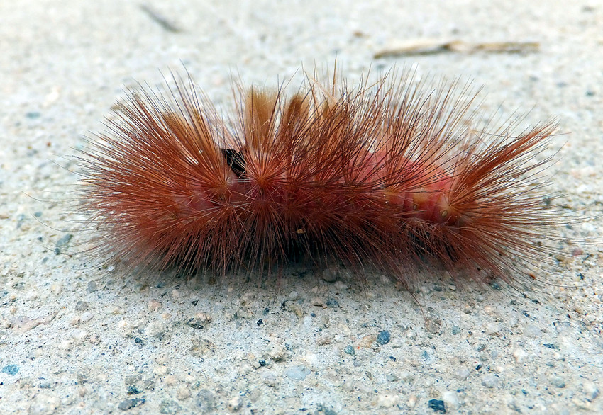 dscf3207_副本 - 复制.jpg