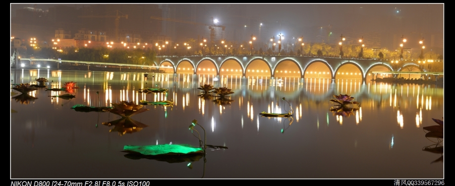 DSC_6394.jpg