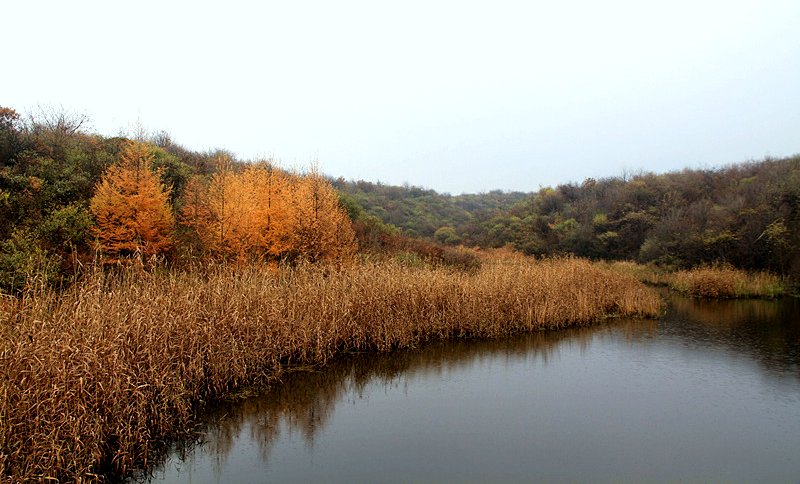 黄柏塬 035_副本.jpg