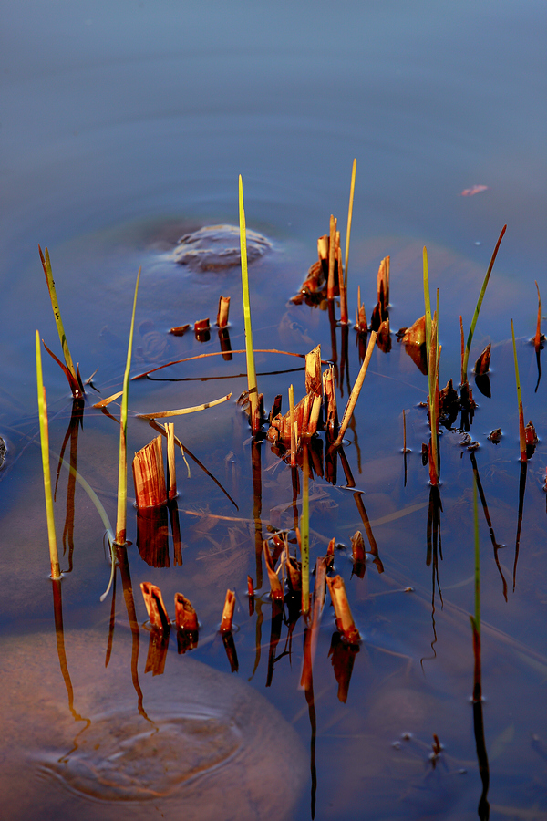 _MG_8030.jpg