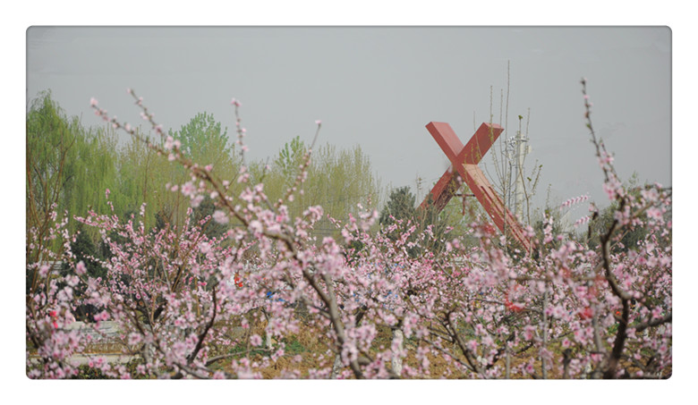 DSC_0135_副本.jpg