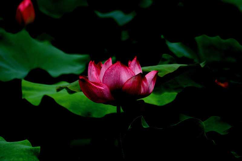 DPP_00141_副本.jpg