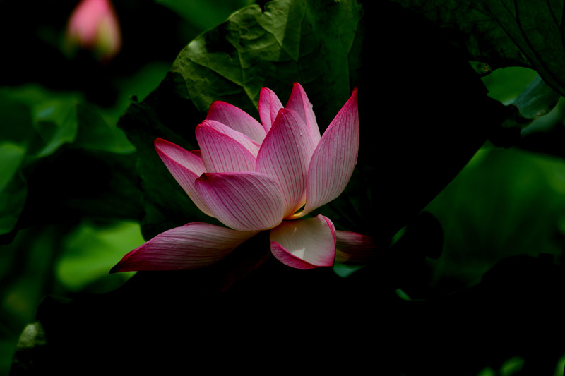 DPP_00145_副本.jpg
