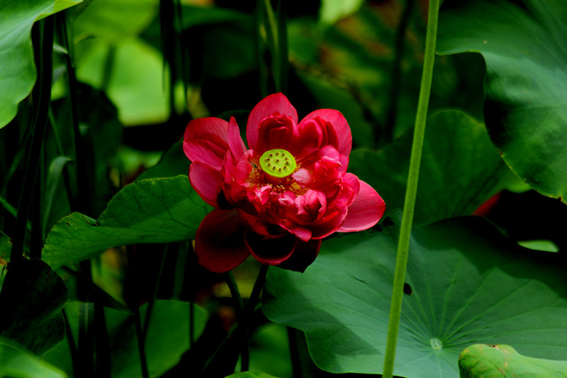 DPP_00180_副本.jpg