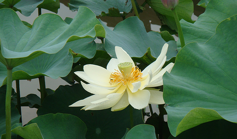 DSC08762_副本.jpg