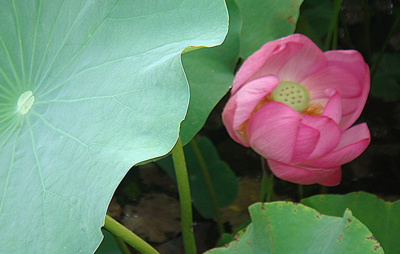 DSC08761_副本.jpg