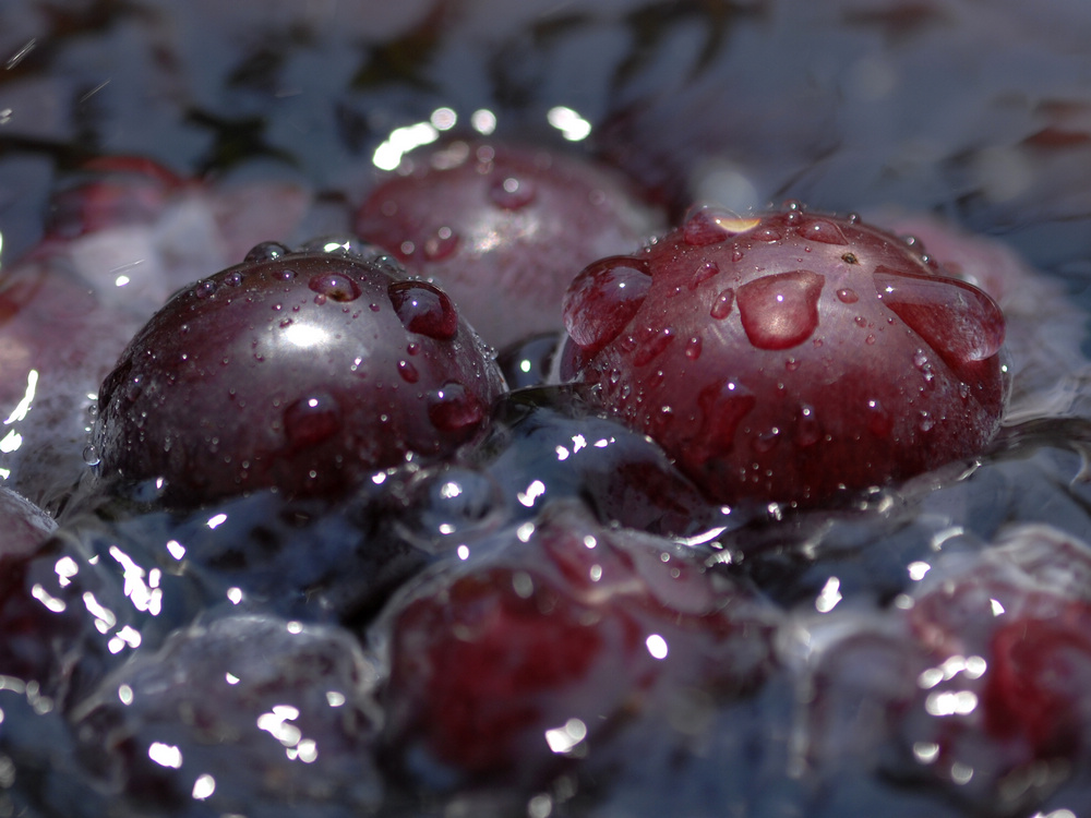 D2X_8818.jpg