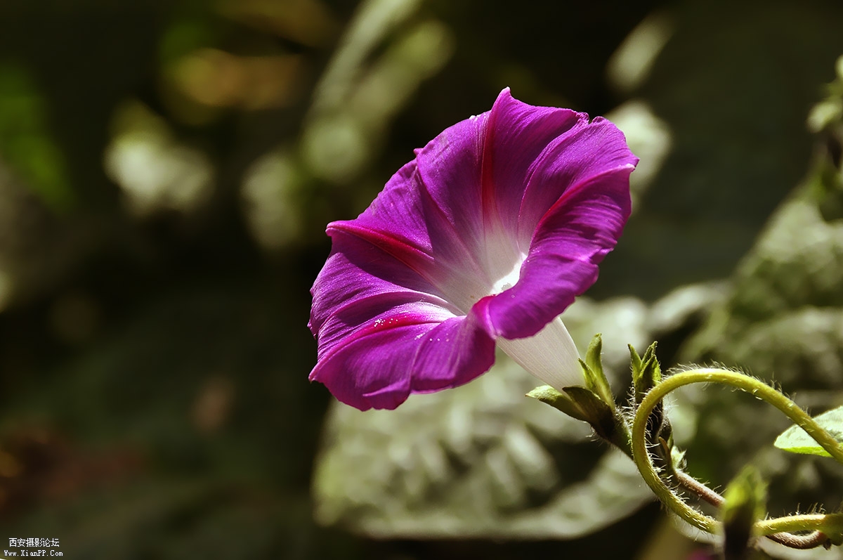 _DSC5255副本.jpg