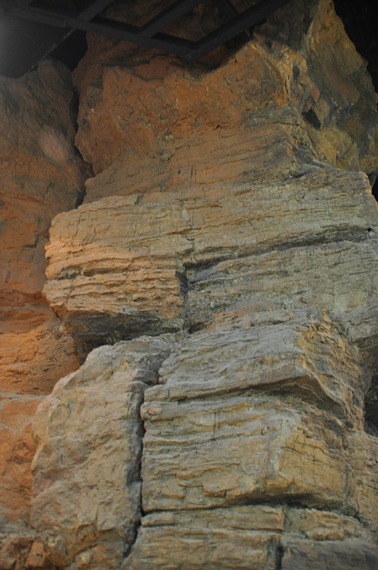 DSC_0462_conew1.jpg