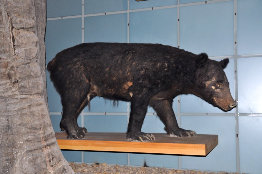 DSC_1074_conew1.jpg