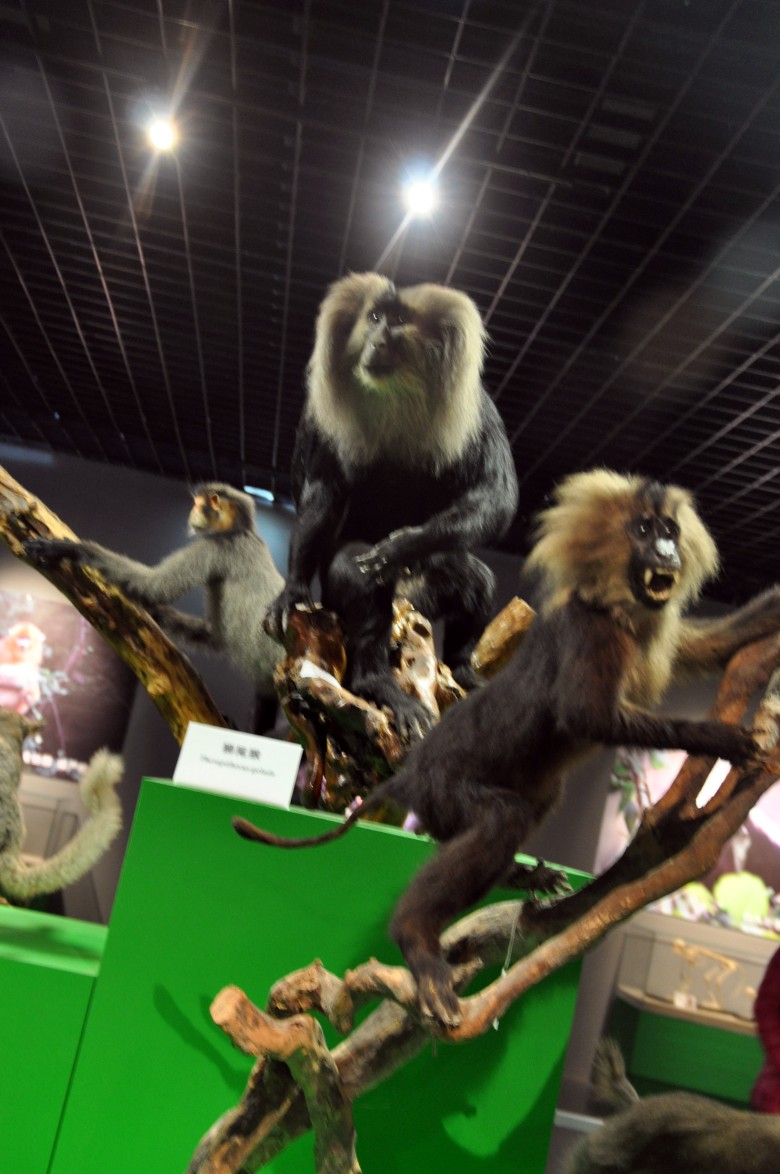 DSC_1089_conew1.jpg