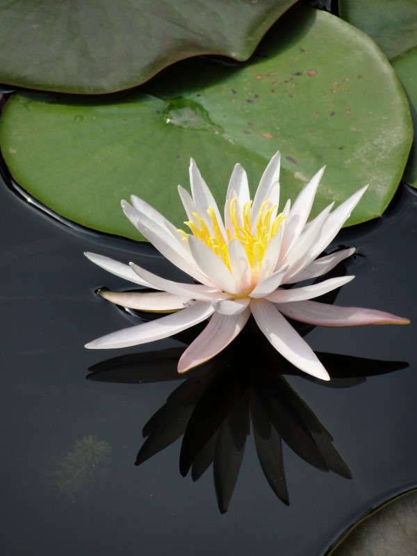 DSC04941_conew1.jpg