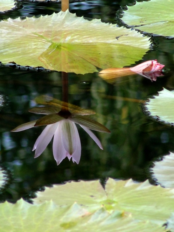 DSC04958_conew3.jpg