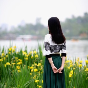 把春天遗忘      落叶影像