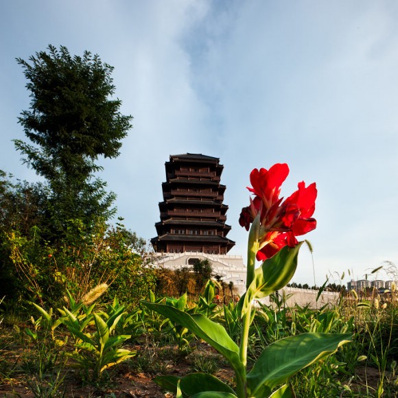 欲与天公试比高