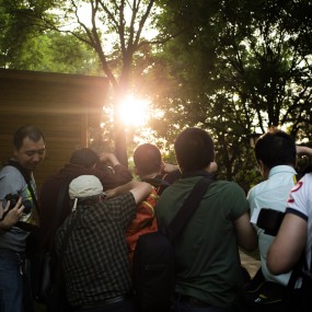 曲江好阳光好花絮