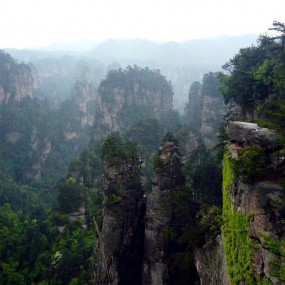 飘逸的农民指挥家的风采