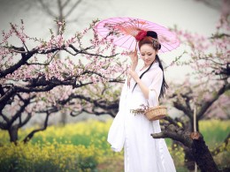 桃花开