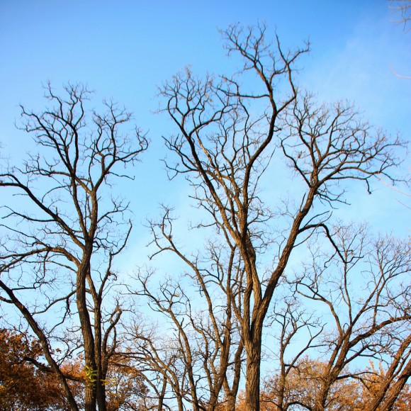镜头里的秋色_吴旭文出品