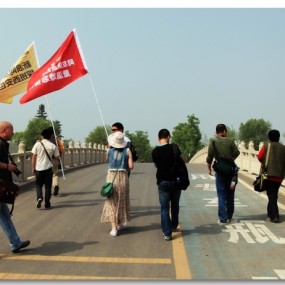 世博园摄影参赛作品