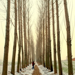 摄影者的：'执着与坚辛'