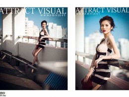 attract visutl