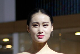 车模系列 60528