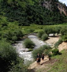 甘南风光（一）则岔石林