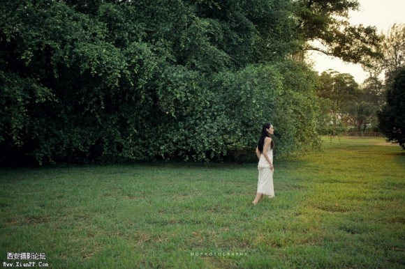 lost in your forest