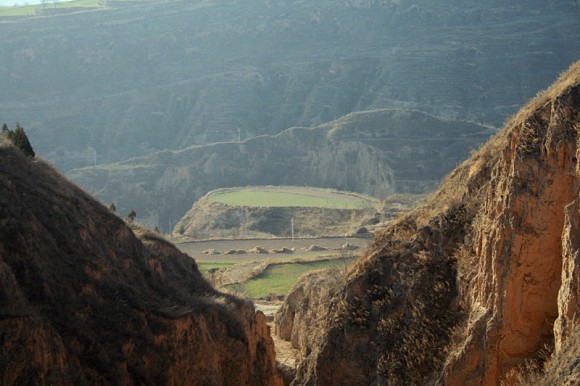 老柳树村的风景