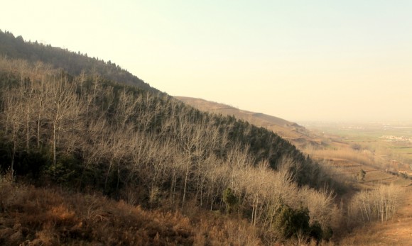 老袁习作（12）