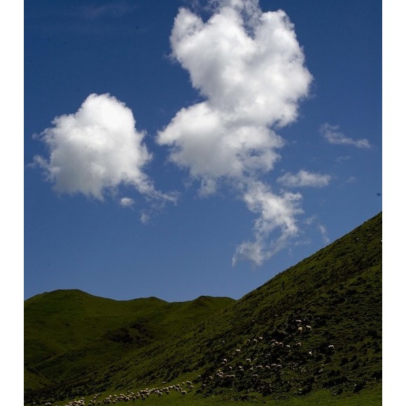 云上花开（七）深邃苍穹