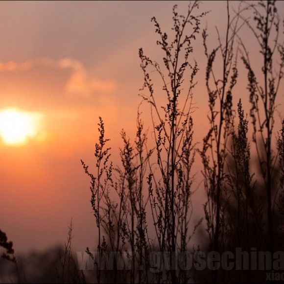 老桦木沟的日落—国色笑三少出品
