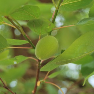 乡村纪实