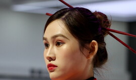 车模 260929