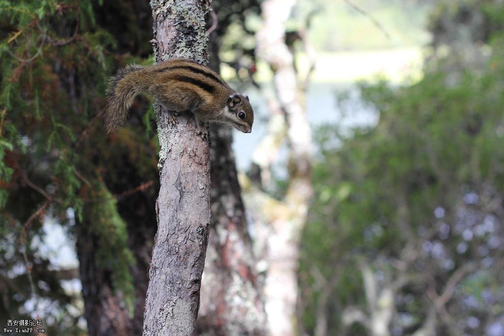 500D  50mm f/1.8  微距 光圈4.0  速度1/60