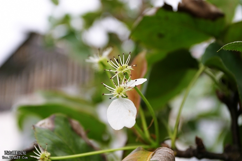 光圈：F5.6  快门：1/250  感光度ISO：100