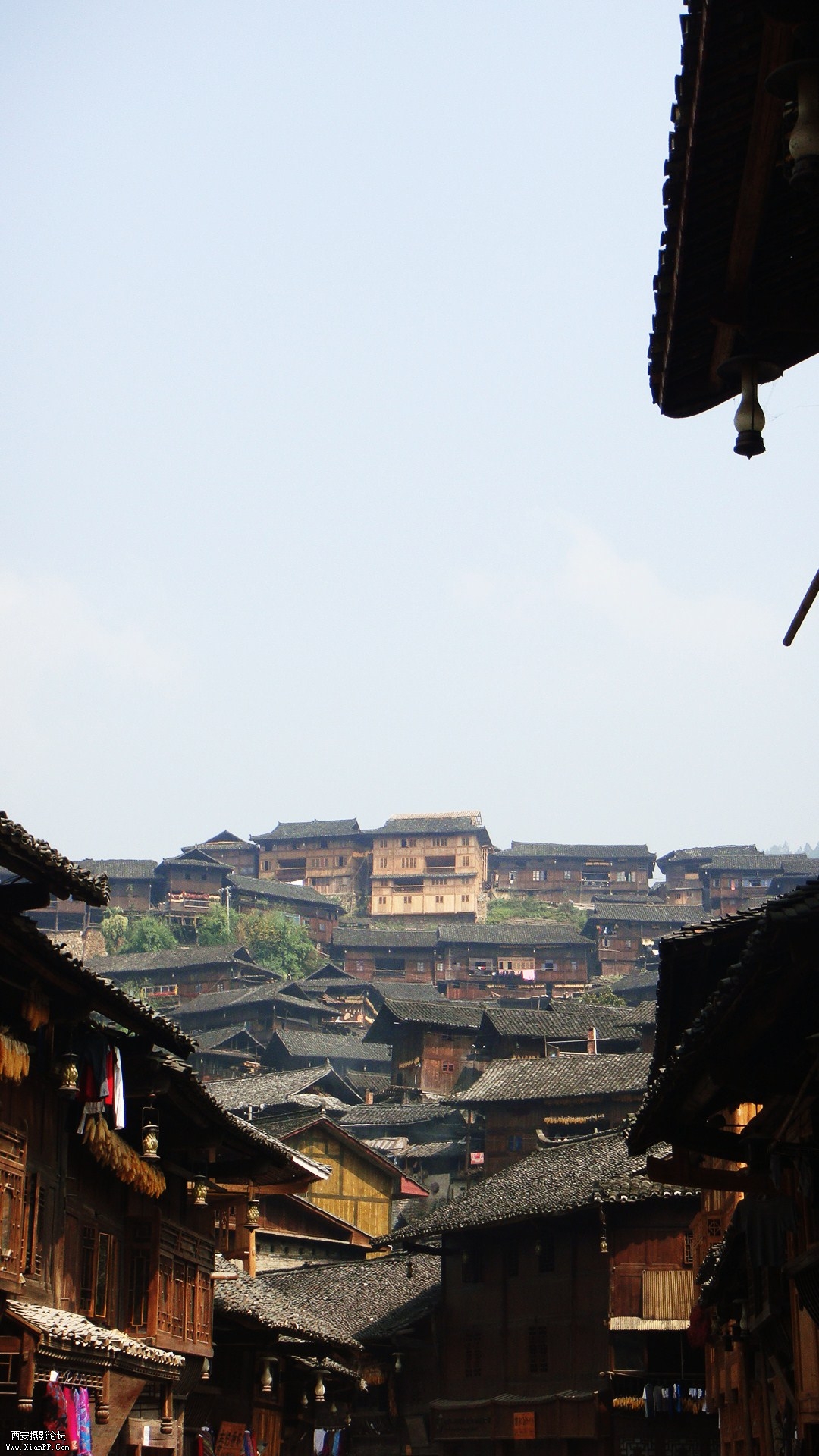 DSC01737.JPG