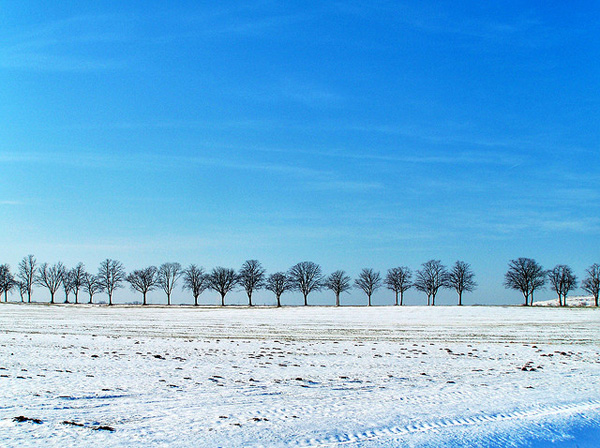 Photo by Dietrich Bojko