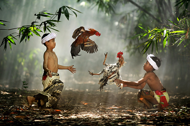 Photo by Ario Wibisono